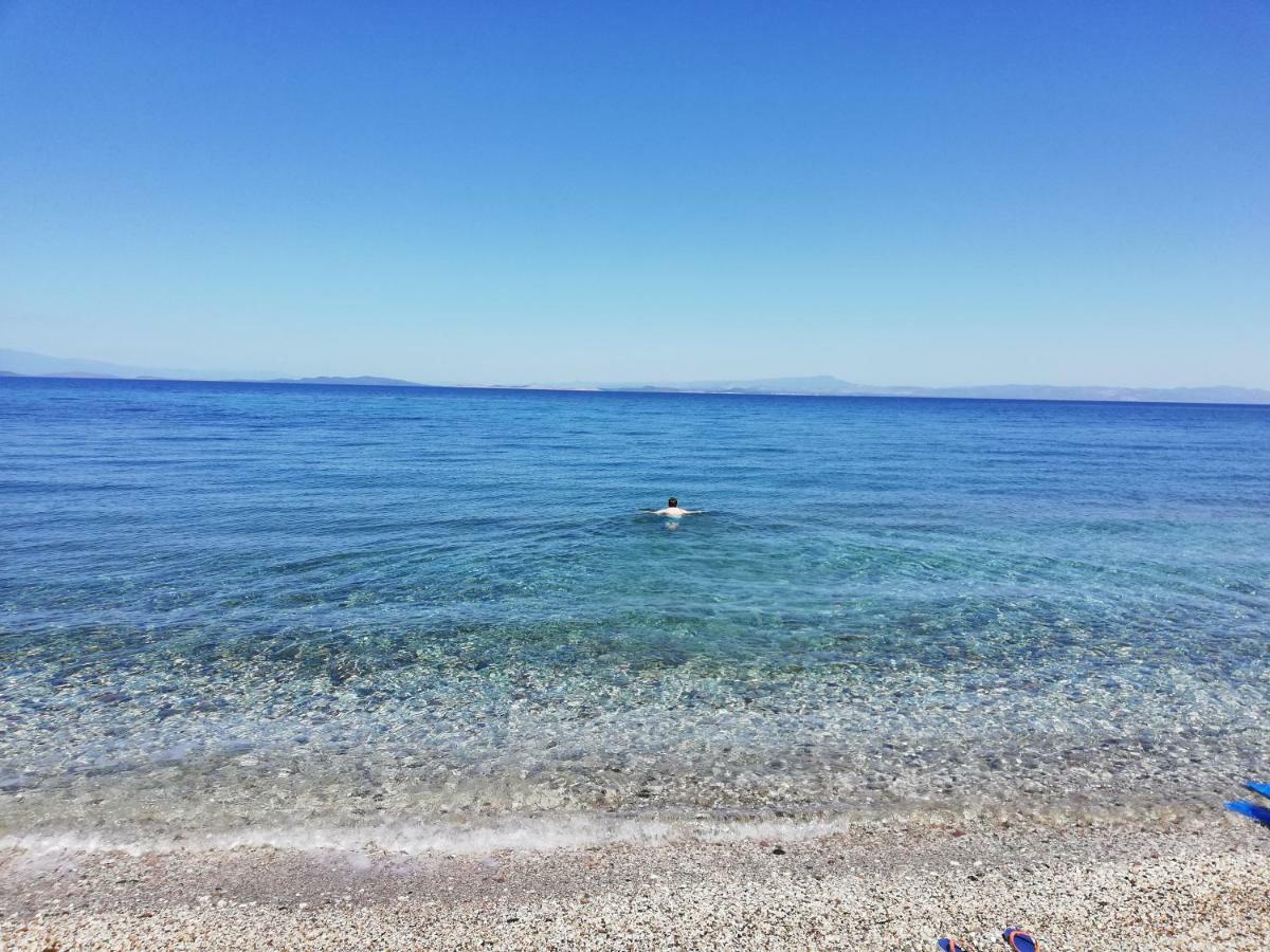 Fotis Apartments Skala Neon Kydonion Bagian luar foto
